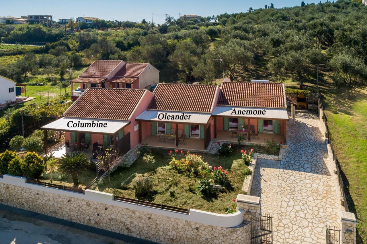 Garden Apartments Agios Stefanos Corfu Agios Stefanos Avliotes  Exteriör bild